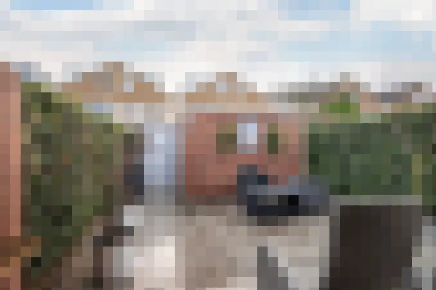 Heliotroop 35 's-Gravenzande thumbnail 6