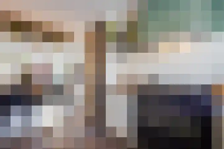 Heliotroop 39 's-Gravenzande thumbnail 12