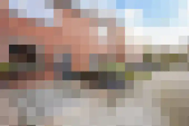 Heliotroop 39 's-Gravenzande thumbnail 38