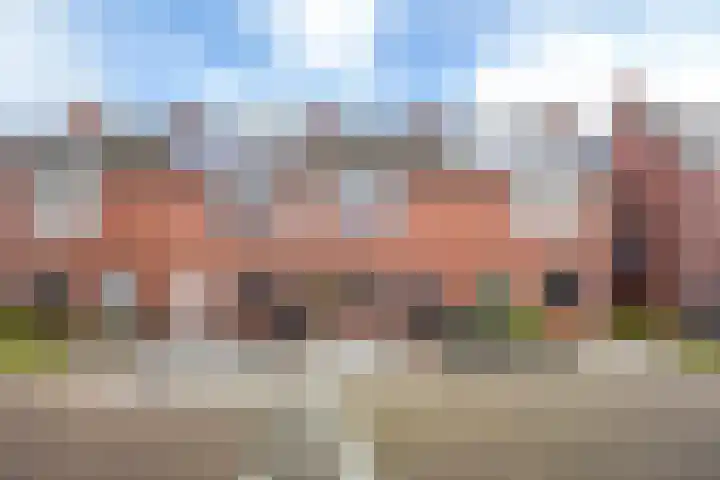 Heliotroop 39 's-Gravenzande thumbnail 40
