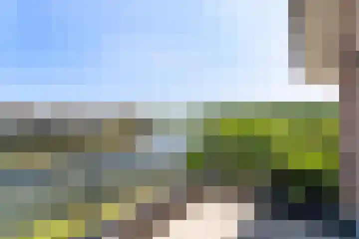 Heliotroop 5 Rhoon thumbnail 10