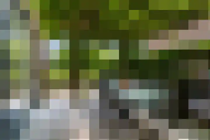 Heliotroop 5 Rhoon thumbnail 15