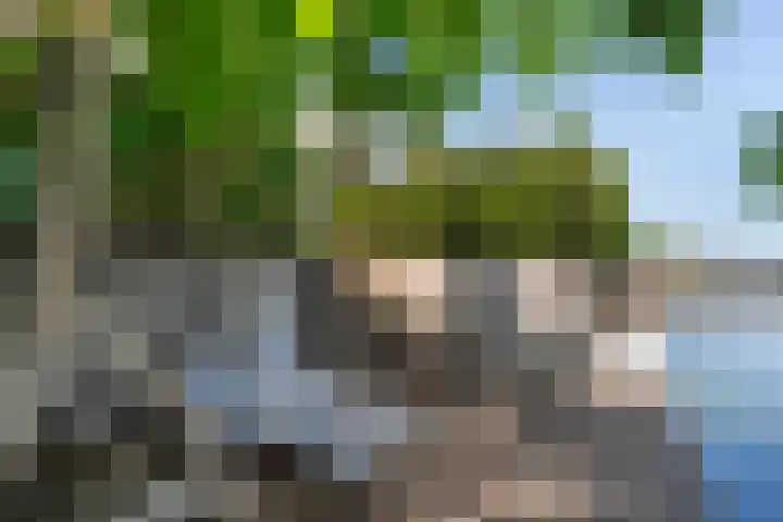 Heliotroop 5 Rhoon thumbnail 17