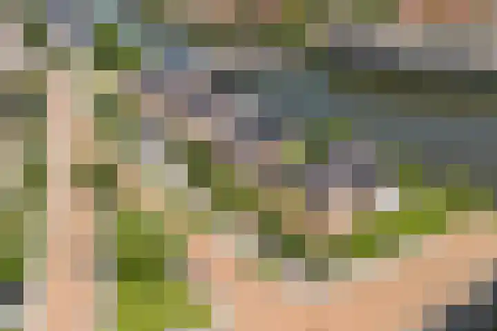 Heliotroop 5 Rhoon thumbnail 19
