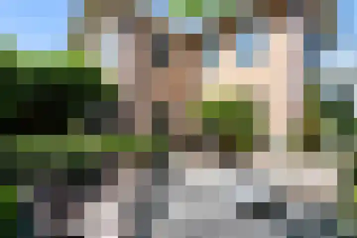 Heliotroop 5 Rhoon thumbnail 20