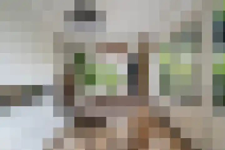 Heliotroop 5 Rhoon thumbnail 4