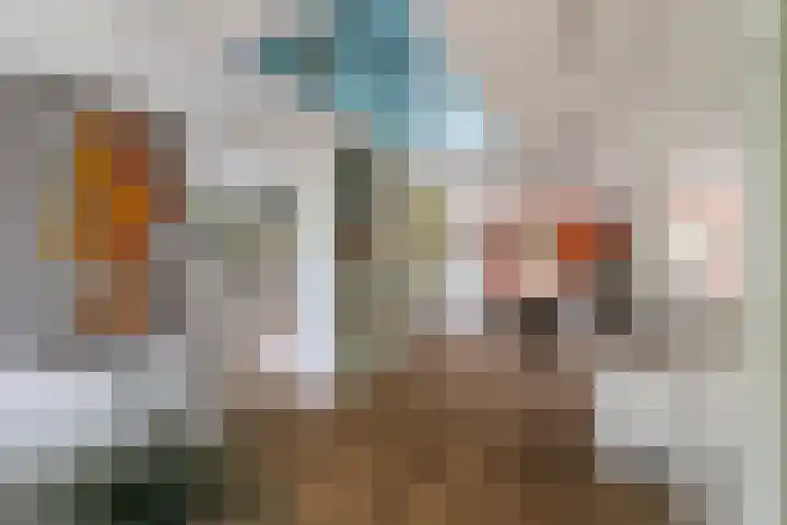 Heliotroop 5 Rhoon thumbnail 5