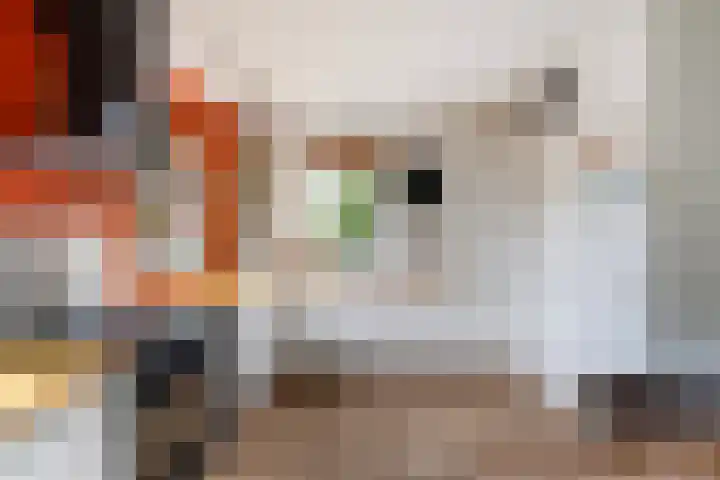 Heliotroop 5 Rhoon thumbnail 7
