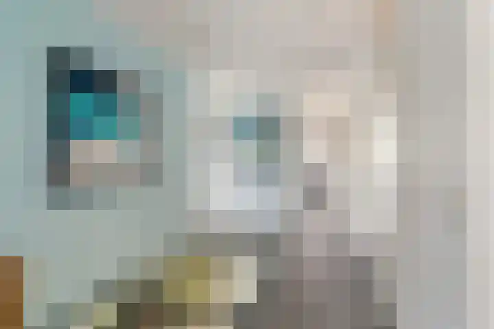 Heliotroop 5 Rhoon thumbnail 8