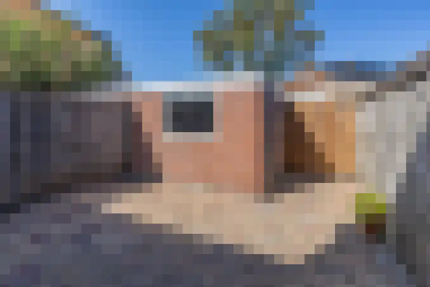 Heliotroop 57 's-Gravenzande thumbnail 11