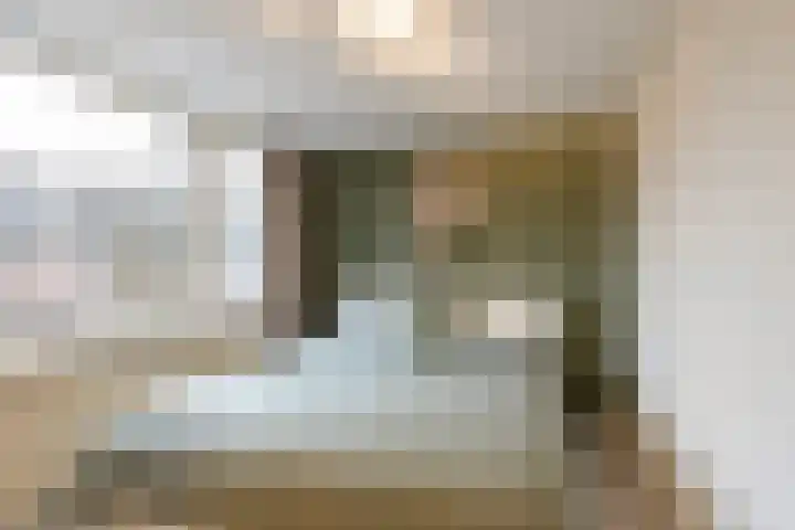 Heliotroop 68 's-Gravenzande thumbnail 18