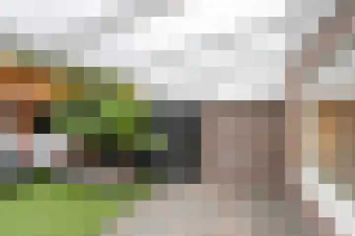 Heliotroop 68 's-Gravenzande thumbnail 30