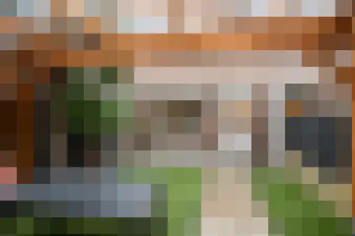 Heliotroop 68 's-Gravenzande thumbnail 31
