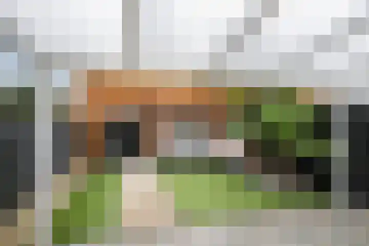 Heliotroop 68 's-Gravenzande thumbnail 6