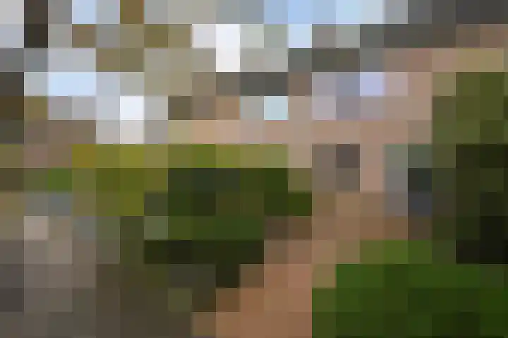 Heliotroop 76 's-Gravenzande thumbnail 21