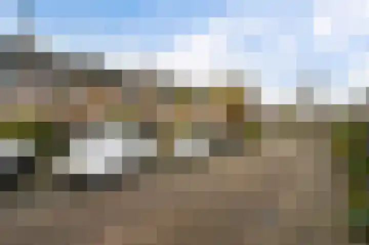 Heliotroop 76 's-Gravenzande thumbnail 24