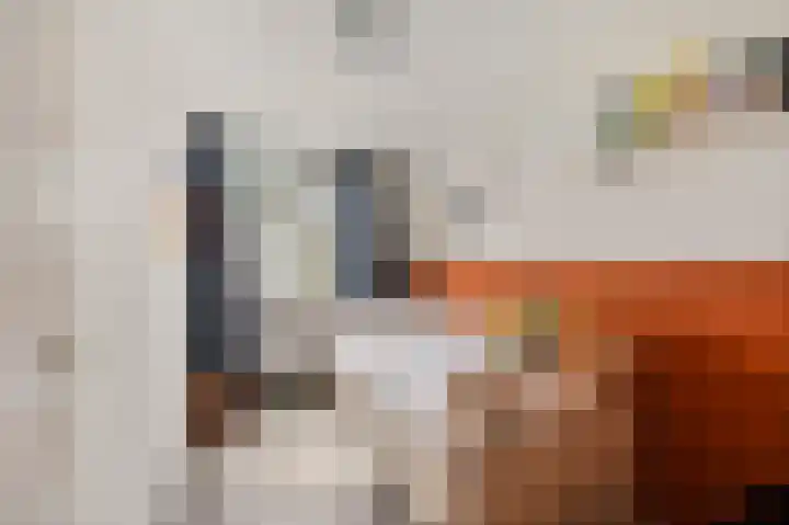 Heliotroop 76 's-Gravenzande thumbnail 28