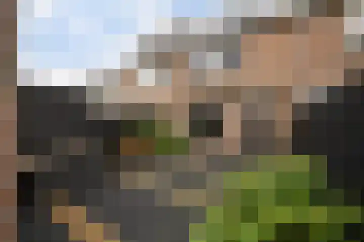 Heliotroop 76 's-Gravenzande thumbnail 37