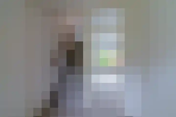 Heliotroop 81 's-Gravenzande thumbnail 10