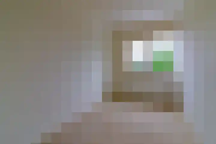 Heliotroop 81 's-Gravenzande thumbnail 11