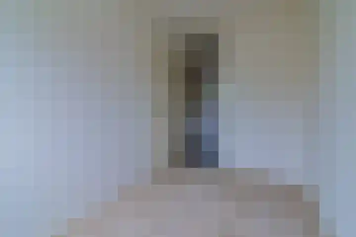 Heliotroop 81 's-Gravenzande thumbnail 12