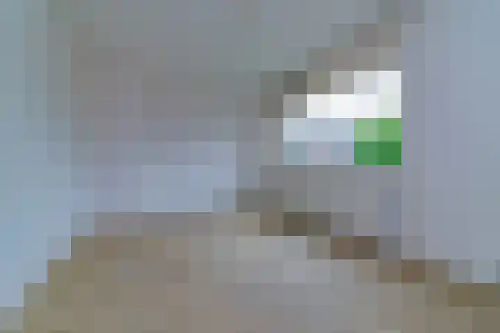 Heliotroop 81 's-Gravenzande thumbnail 18