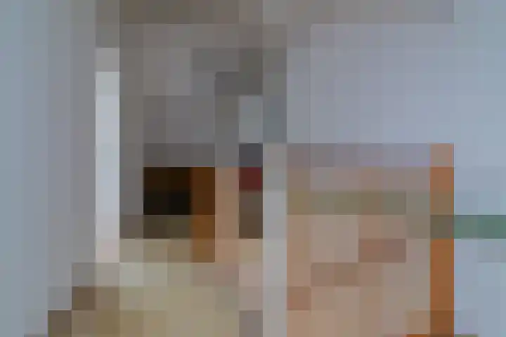 Heliotroop 81 's-Gravenzande thumbnail 20