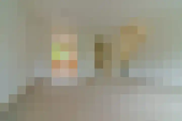 Heliotroop 81 's-Gravenzande thumbnail 4
