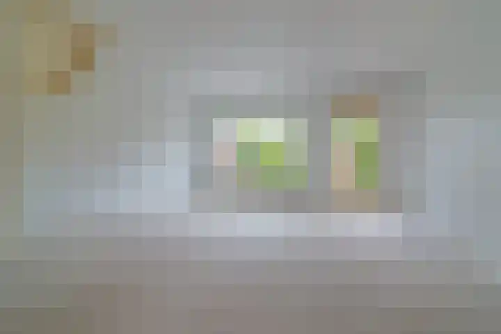 Heliotroop 81 's-Gravenzande thumbnail 5