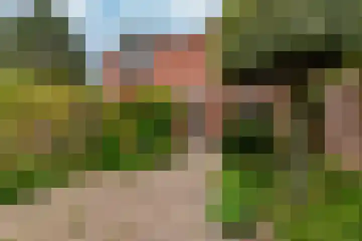 Heliotroop 81 's-Gravenzande thumbnail 6