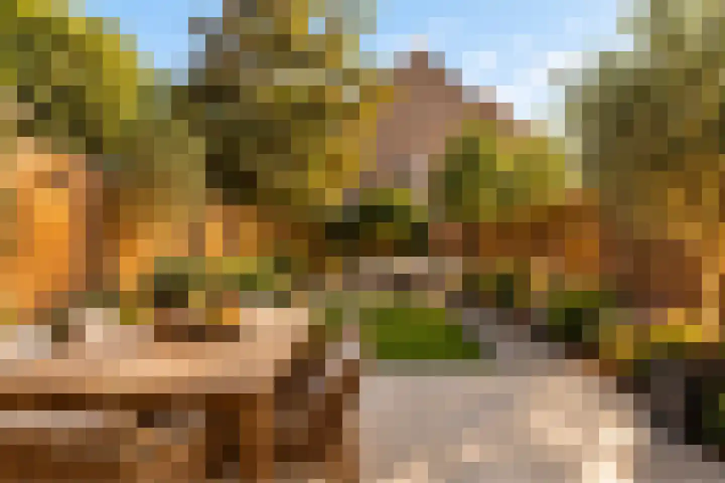 Heliotroopdijk 112 Roosendaal thumbnail 33