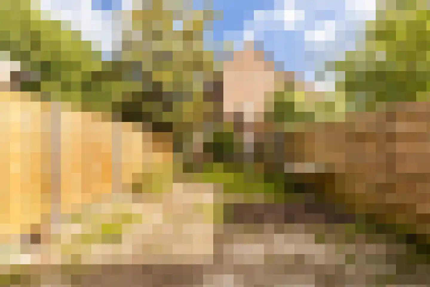 Heliotroopdijk 112 Roosendaal thumbnail 34