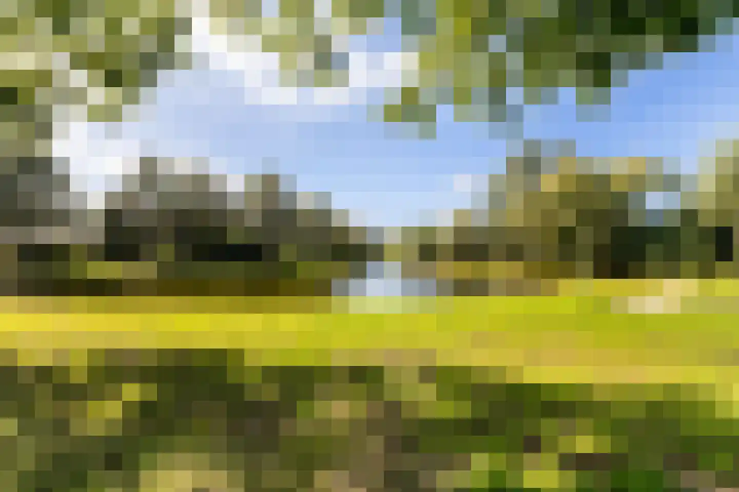 Heliotroopdijk 112 Roosendaal thumbnail 38