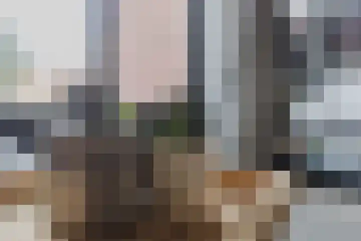Heliotroopdijk 20 Roosendaal thumbnail 10