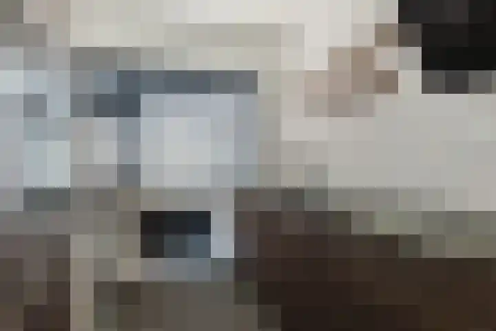 Heliotroopdijk 20 Roosendaal thumbnail 11