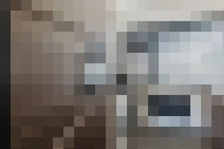 Heliotroopdijk 20 Roosendaal thumbnail 12