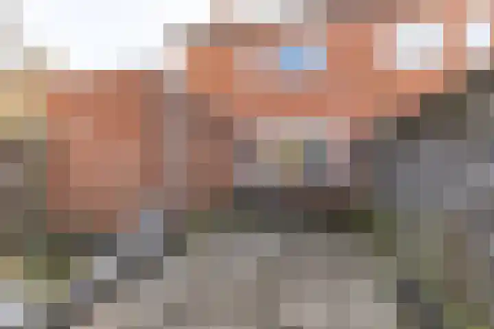 Heliotroopdijk 20 Roosendaal thumbnail 18