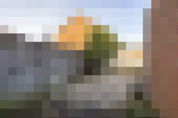 Heliotroopdijk 20 Roosendaal thumbnail 19