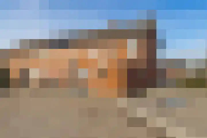 Heliotroopdijk 20 Roosendaal thumbnail 25