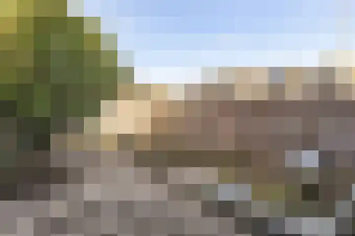 Heliotroopdijk 20 Roosendaal thumbnail 4