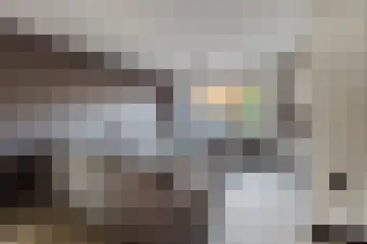 Heliotroopdijk 20 Roosendaal thumbnail 7