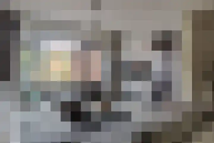 Heliotroopdijk 20 Roosendaal thumbnail 8