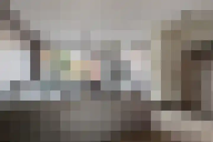 Heliotroopdijk 20 Roosendaal thumbnail 9