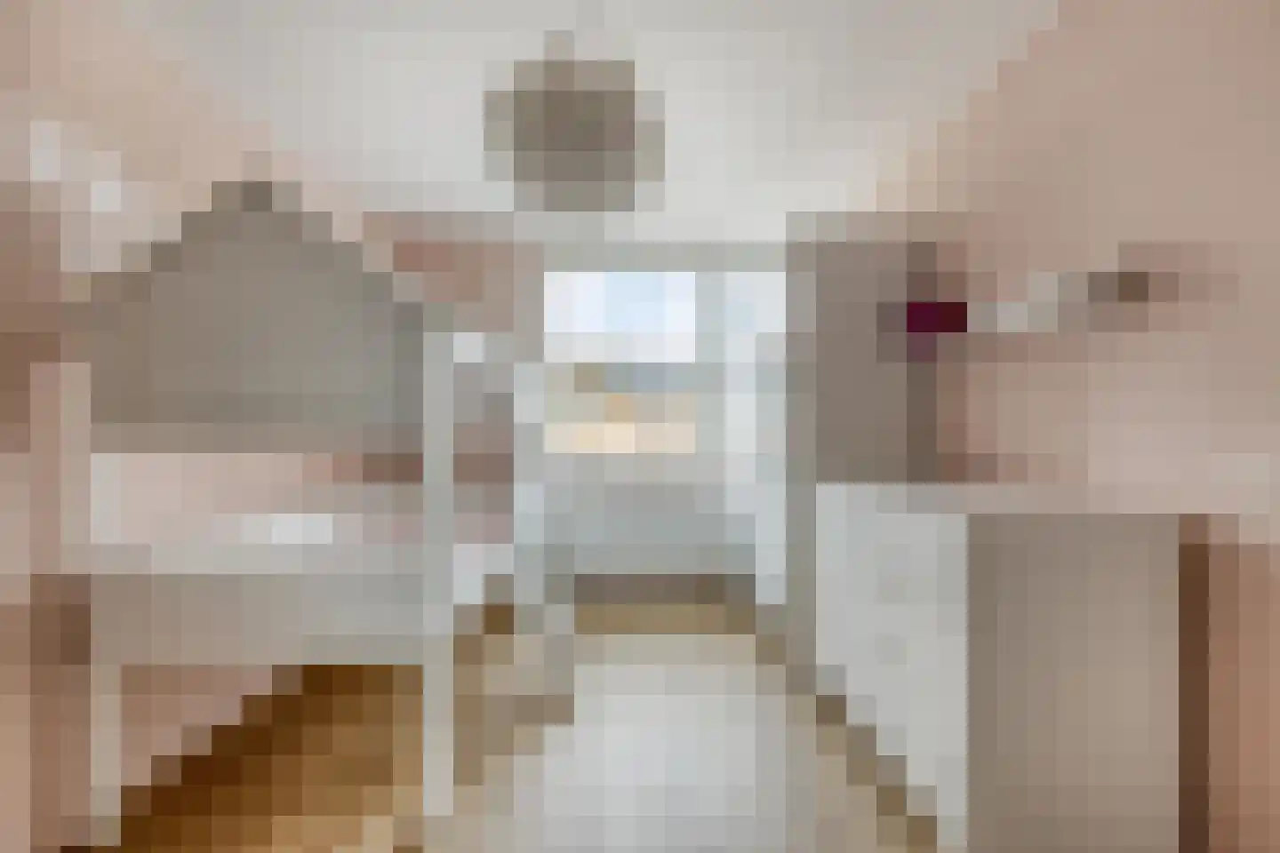 Heliotroopdijk 27 Roosendaal thumbnail 28