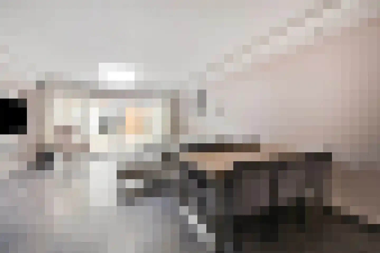 Heliotroopdijk 27 Roosendaal thumbnail 4