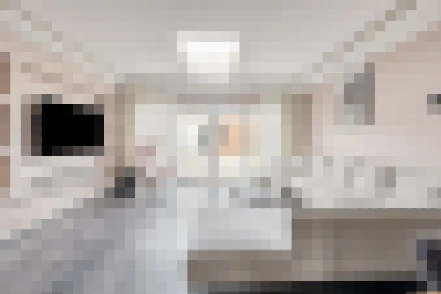 Heliotroopdijk 27 Roosendaal thumbnail 6