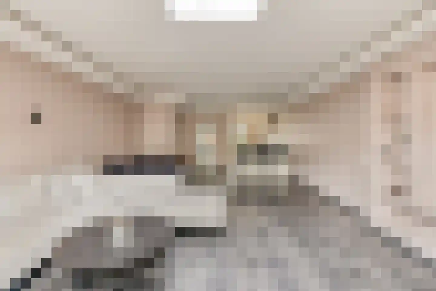 Heliotroopdijk 27 Roosendaal thumbnail 8