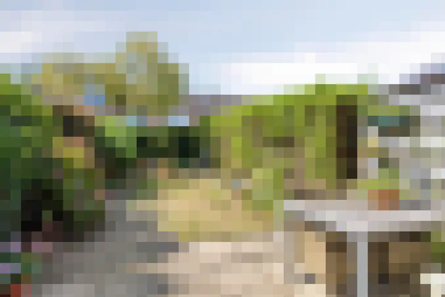 Heliotroopdijk 71 Roosendaal thumbnail 33