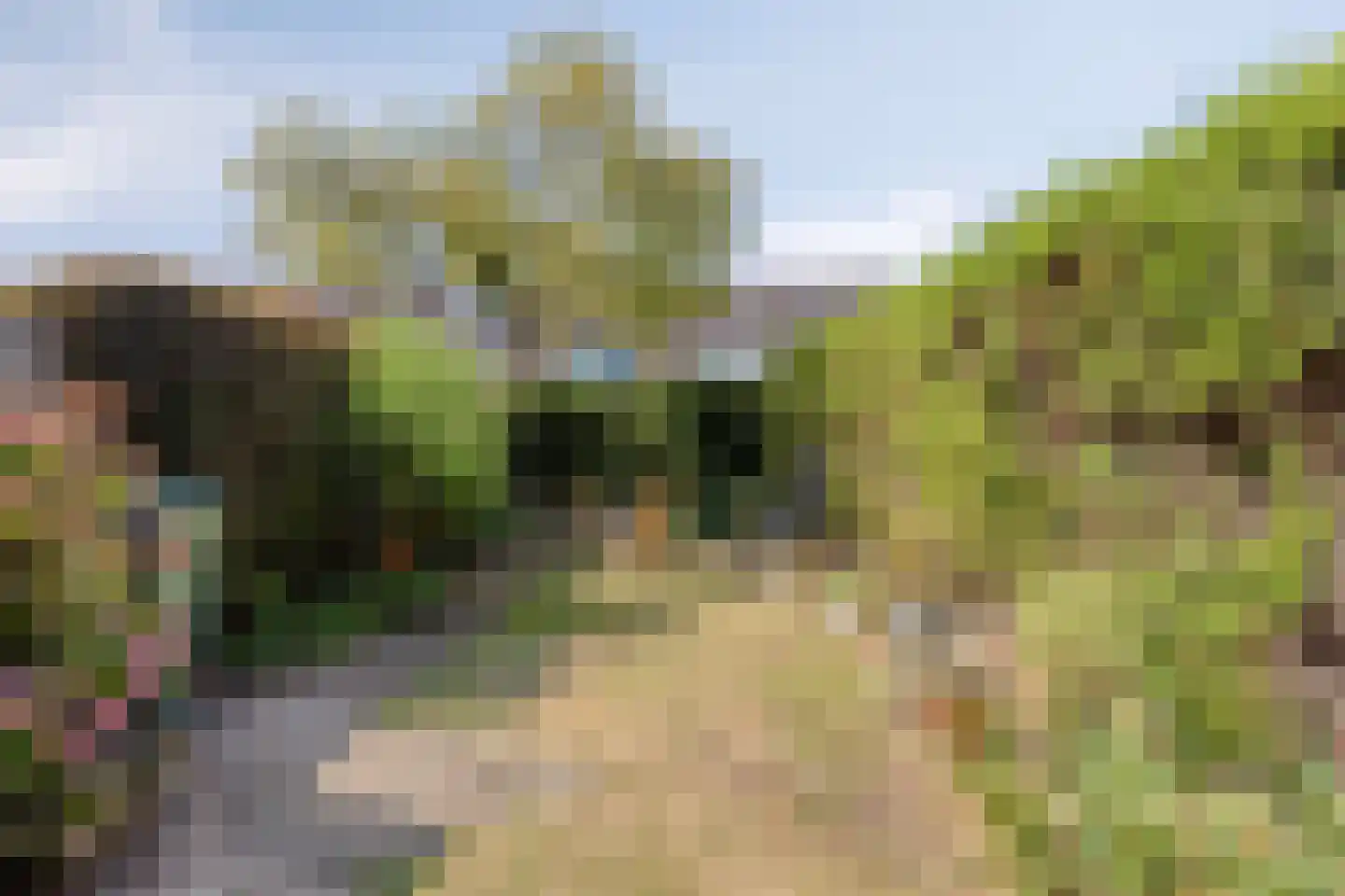 Heliotroopdijk 71 Roosendaal thumbnail 34