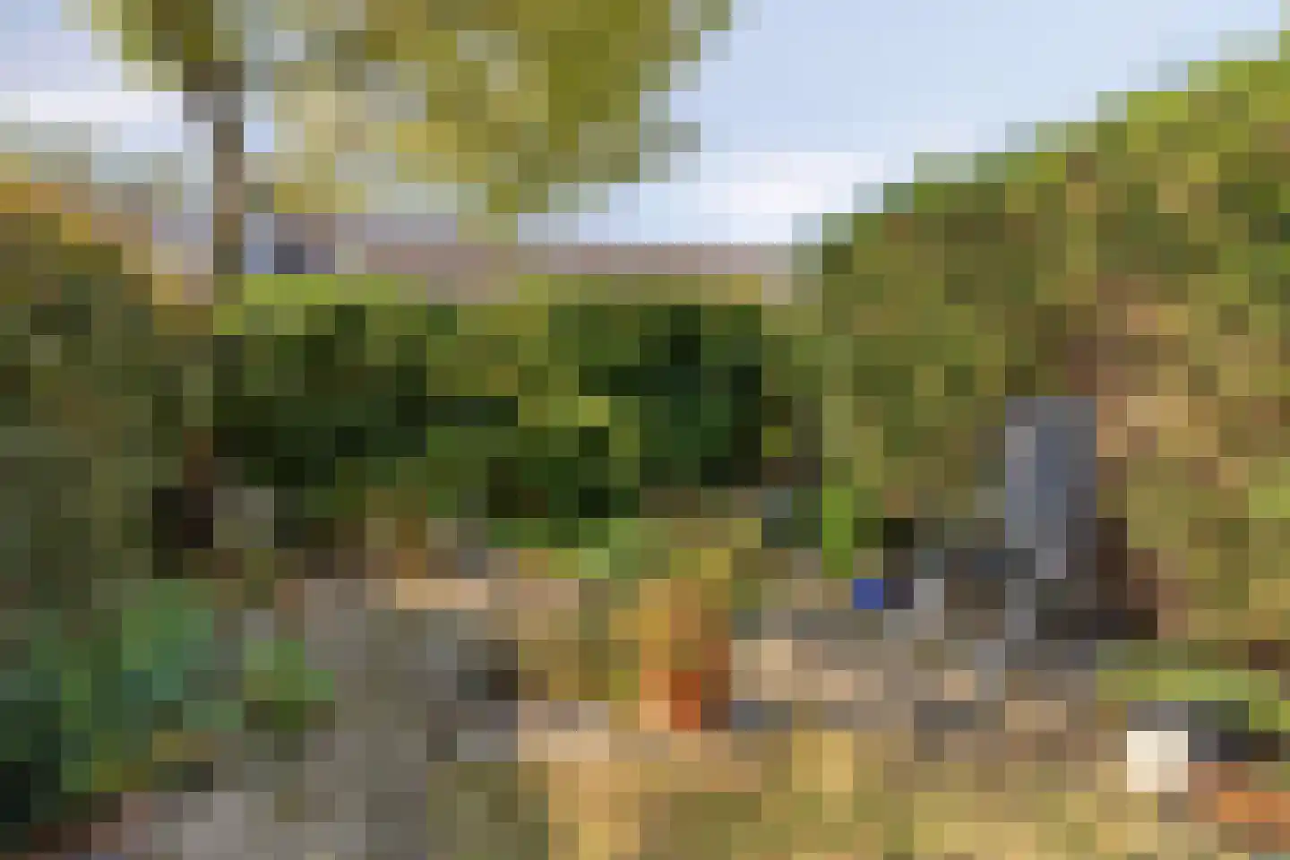 Heliotroopdijk 71 Roosendaal thumbnail 35